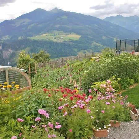 In With Hohe Tauern Views